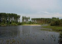 Parque Salburua